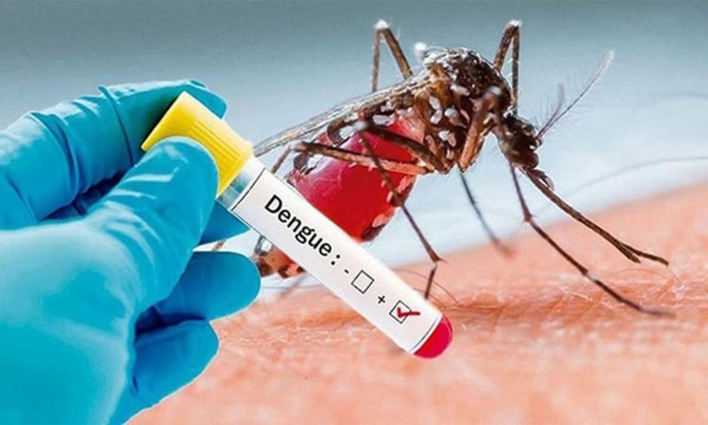Dengue claims six more lives in 24 hours