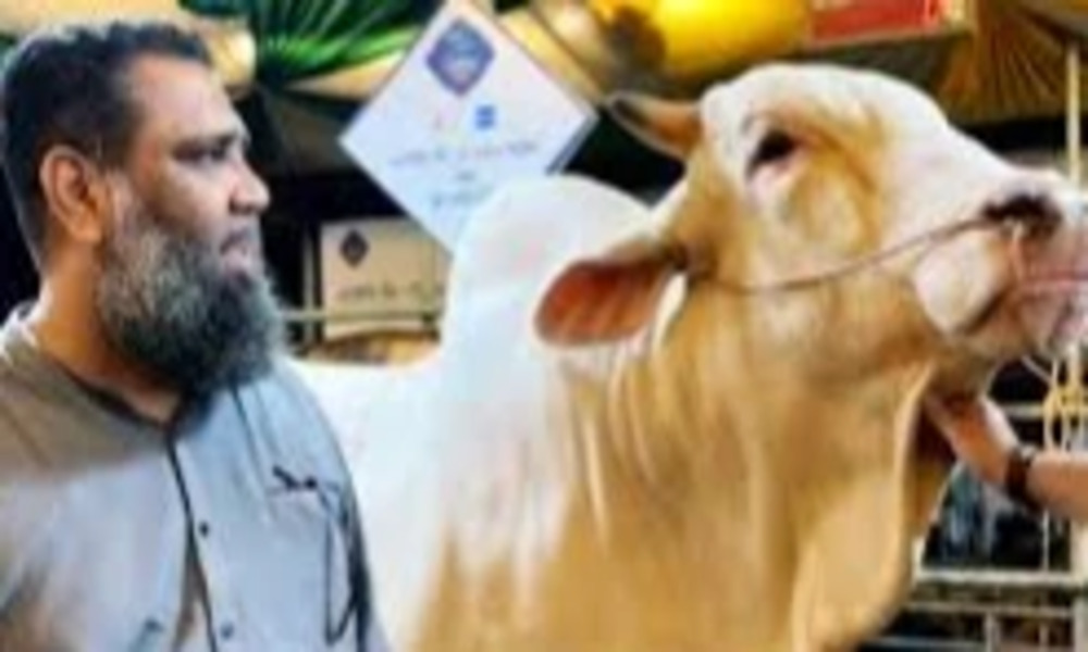 Sadeeq Agro chairman arrested in money laundering  case