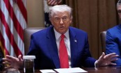Trump admits trade war 'cost' as markets hit

