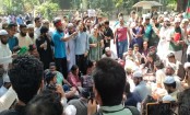 Govt considers ban on Awami League citing dictatorship, terror links
