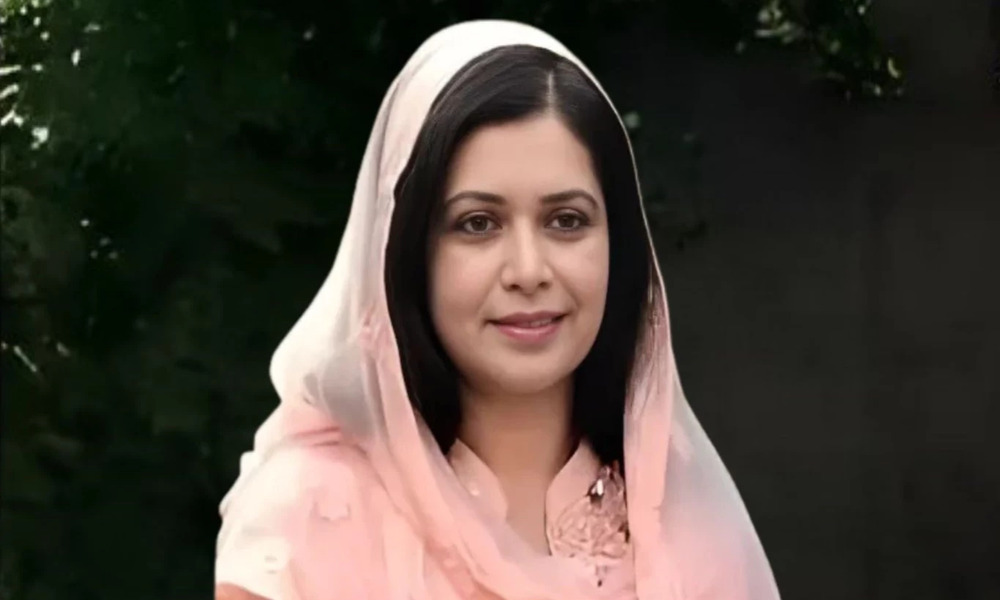 Zubaida files petition challenging sentence in graft case