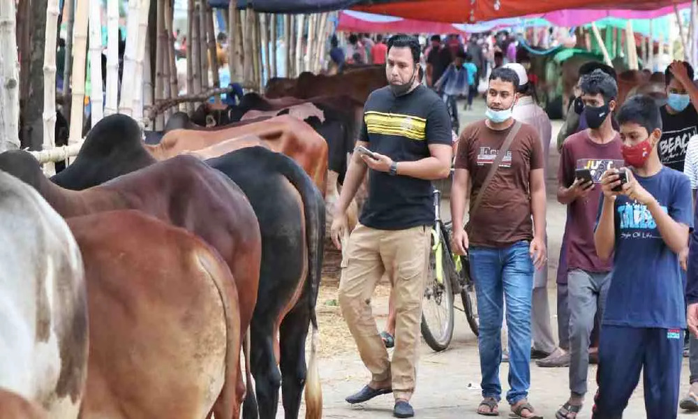 Self-reliance in sacrificial animals: govt urged to sustain livestock gains
