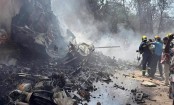 Air India flight crashes near Ahmedabad, 242 aboard








