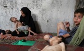 ‘We are dying’: Palestinians slam world’s inaction as hunger ravages Gaza
