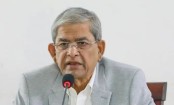 BNP appreciates Feb election plan as step towards democracy